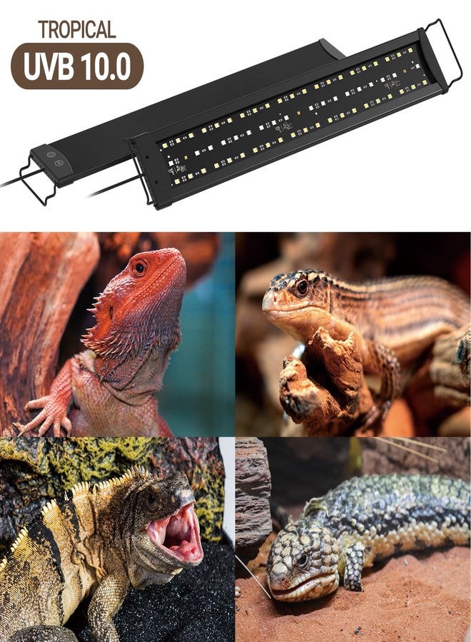 WACOOL TERRA Dimming LED UVB Reptile Light, 24“ LED Reptile Light Bar with Tropical & Desert Modes Switchable and 3 Light Modes, UVB10.0 - Image 5